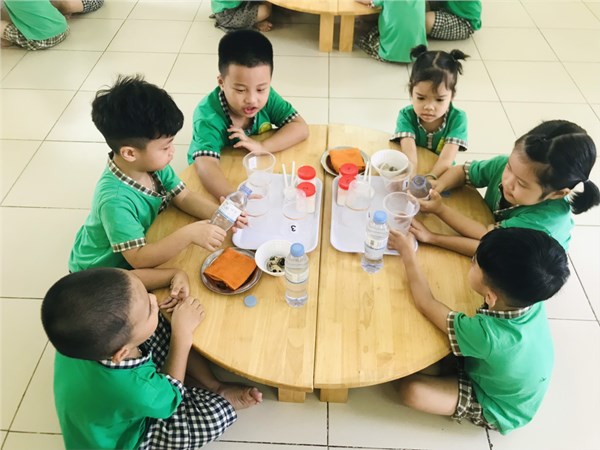 Lớp A2 khám phá trứng chìm trứng nổi