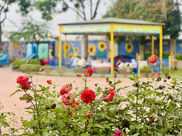 ANBUM ẢNH XÂY DỰNG MÔI TRƯỜNG SÁNG XANH SẠCH ĐẸP